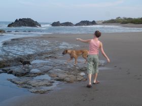 dogs in Nicaragua – Best Places In The World To Retire – International Living